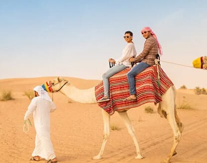 Camel Desert Safari in Dubai